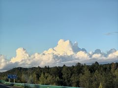 -五营红松林海景区