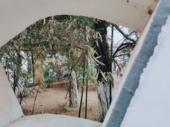 -桃花堤公园