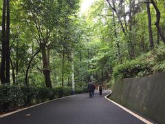 -金寨县革命博物馆