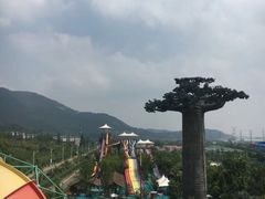 -苏州乐园森林水世界