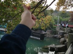 -白马涧龙池景区