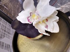 -大连金石滩绿发温泉假日酒店