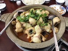 石锅鱼-蜀壹石锅鱼(见龙亭小区店)