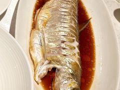 -金美华轩(东方路齐鲁店)