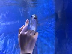 -重庆欢乐海底世界