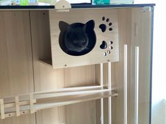 -爱洗澡的猫(天河路店)