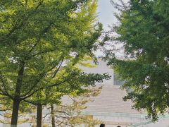 -中华世纪坛-停车场