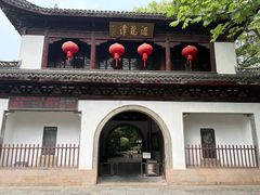 -汇龙潭