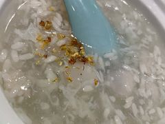 酒酿圆子-蝶园·装修中(BFC外滩金融中心店)
