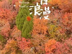 -香山公园