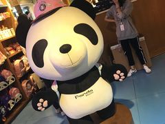 -熊猫屋(宽窄巷子景区店)