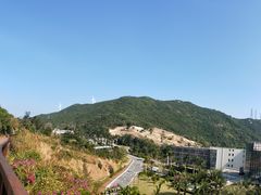 -东澳岛