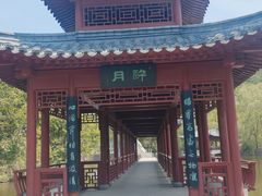 -横山寺