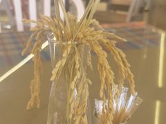 -陈鹏鹏潮汕菜(机场卫星厅·561登机口店)
