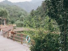 -欢乐松鼠谷
