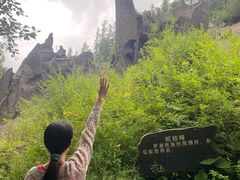 -峡谷浮石林景区