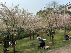 -南山植物园