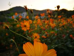 -乌石塘景区