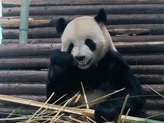 -云南野生动物园