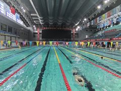 -陕西省游泳跳水馆