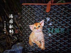 -GOYARD(恒隆广场店)