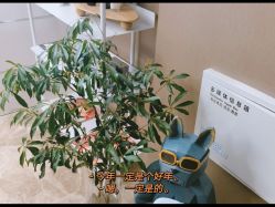 -乐橙肌愈·屏障修护专研所