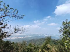 -紫金山山顶公园