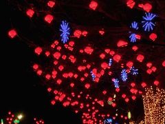 -瀛海足球主题公园