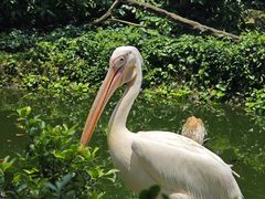 -北京动物园-畅观楼