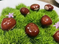 -鹿园 MOOSE(长宁店)