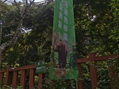-野象谷景区