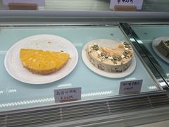 -猫里有甜