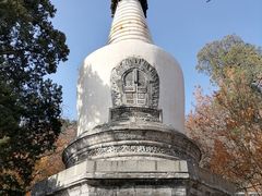 -大觉寺-停车场