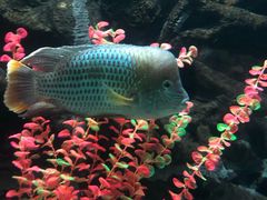 -苏州海洋馆