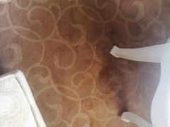 -天津津利华酒店