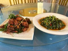 -孔雀湖生态旅游区