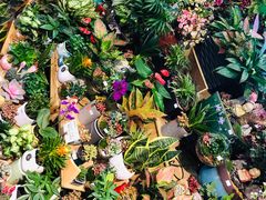-blt精品超市(KKMALL京基店)