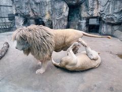 -南昌动物园