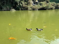 -水濂山森林公园