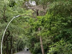 -日照海滨国家森林公园