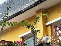 -广州市紫泥堂文化创意园景区