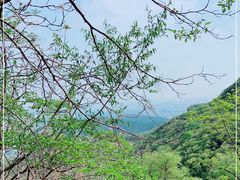 -北京西山国家森林公园