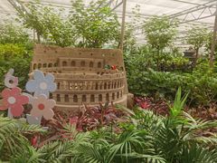 -南宫五洲植物乐园