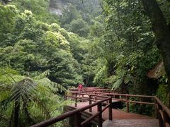 -赤水丹霞旅游区·佛光岩