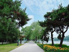 -北陵公园