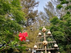 -北海金海湾红树林生态旅游区