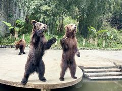 -贵州森林野生动物园