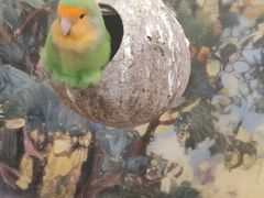 -燕莎奥特莱斯购物中心