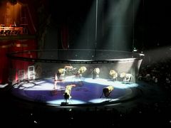 -珠海横琴长隆《卡卡虎奇遇记》