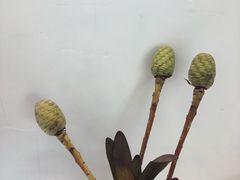 -COTTON CAFE(德信·中外公寓店)